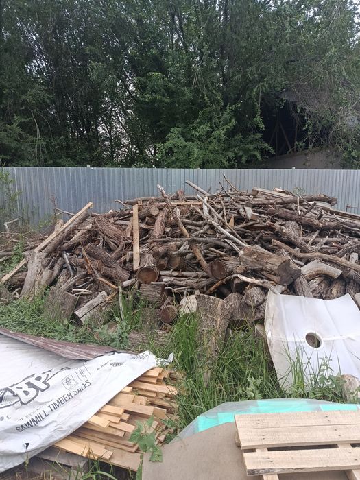 Продам дрова карагач и Джигида