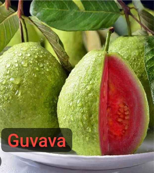 Banan kivi galubika avakado mango zaytun arbuts kadsura