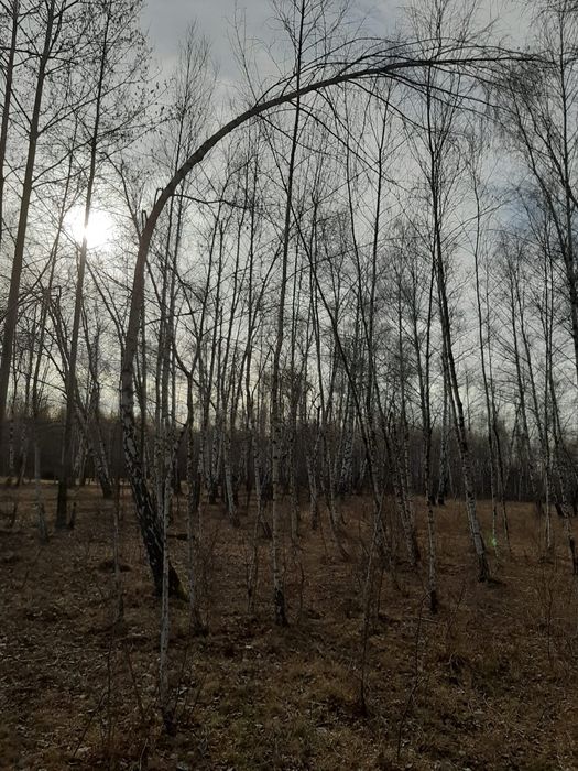 Vânzare teren intravilan