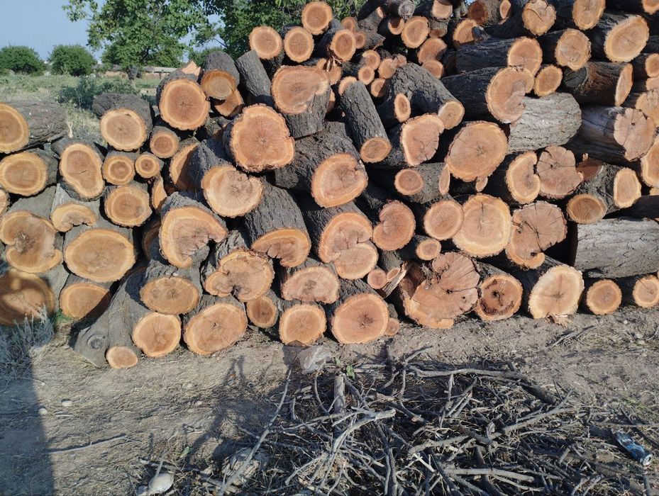 Урик Утин сотилади