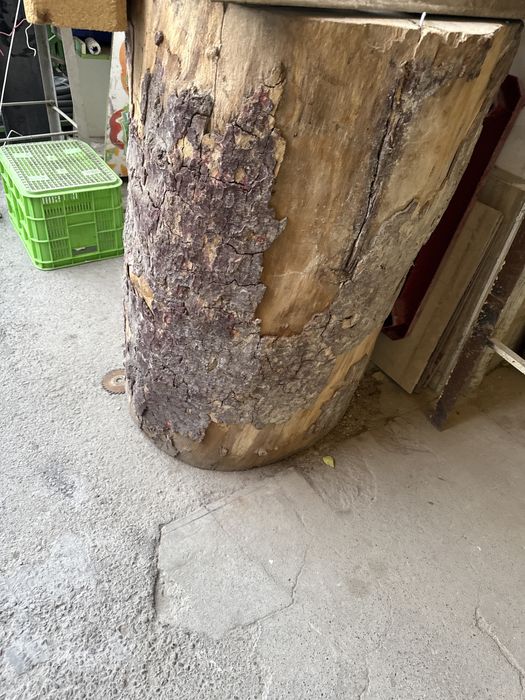Продам пенек арча выше 1м диаметр 80см