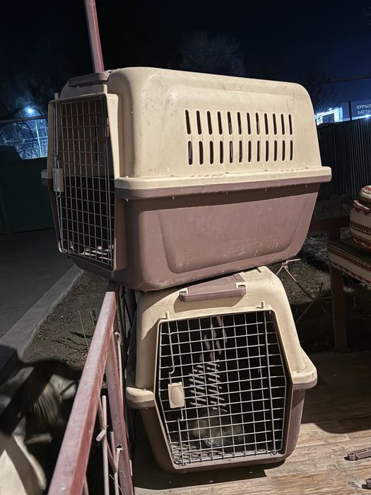 Переноски для животных