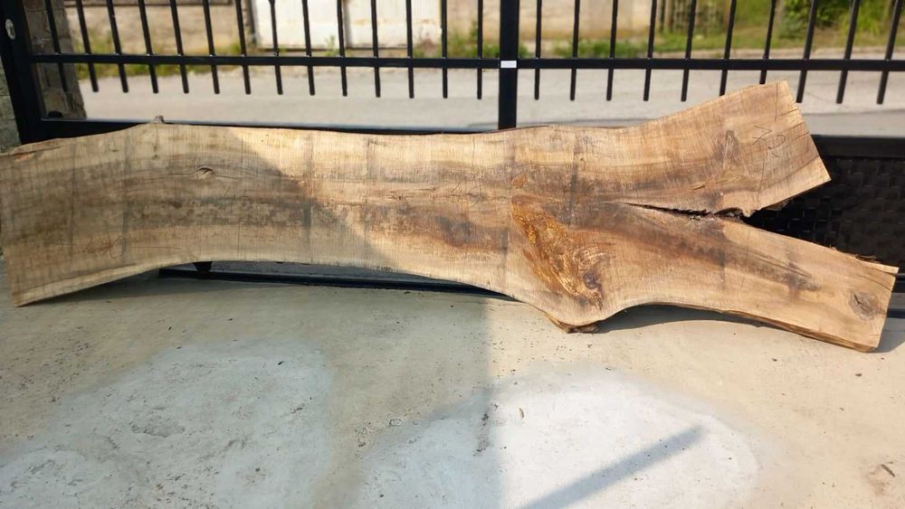 Орехови янове 6 см