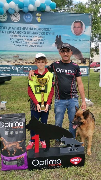 Немски овчарки с родословие.