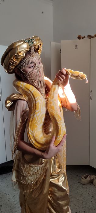 Змея тигровый питон