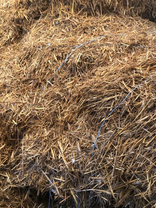 Baloti de paie de vanzare