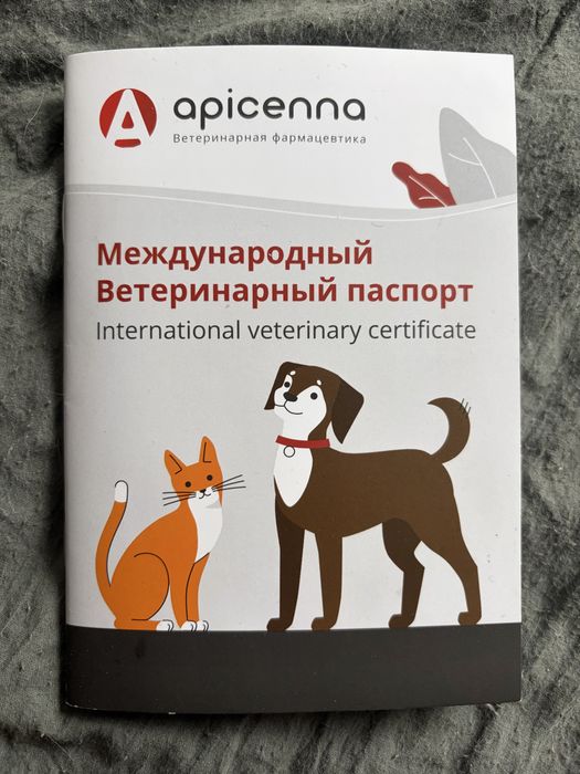 Отдам щенка кобель 5 месяцев