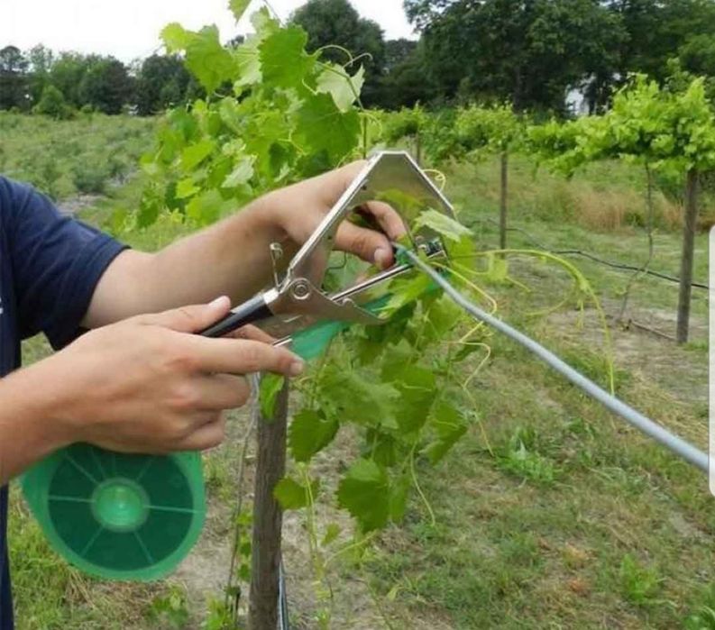 Aparat pentru legat vita de vie pomi fructiferi si legume/capse role
