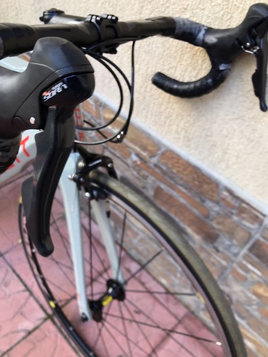 Cursiera carbon Alcott 28 inch
