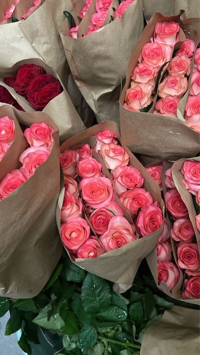 Розы местные 6к за букет