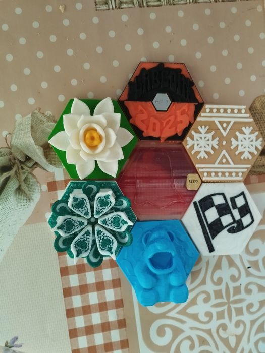 Редки лаб коини .