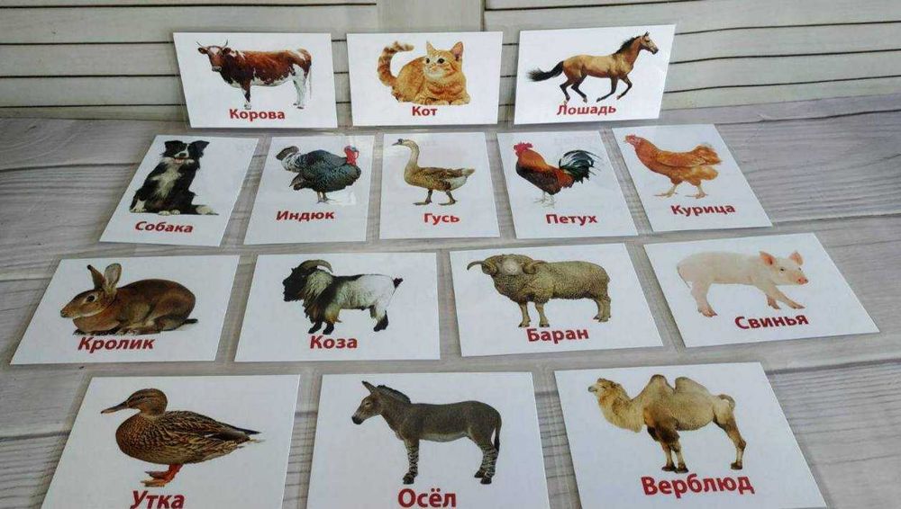 Обучающие карточки для детей