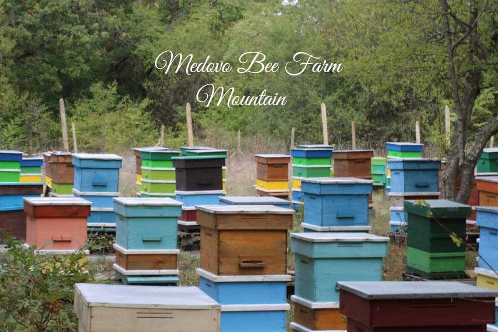 Пчелен Мед от Медово