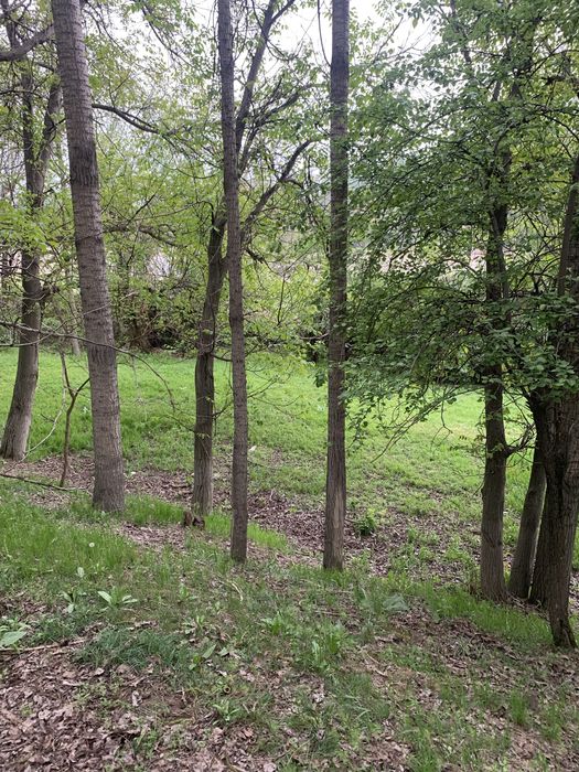 Дом у речки Бадам, срочно