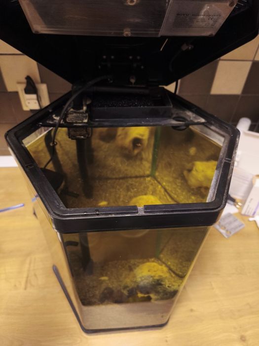 Acvariu Boyu 30 hexagonal