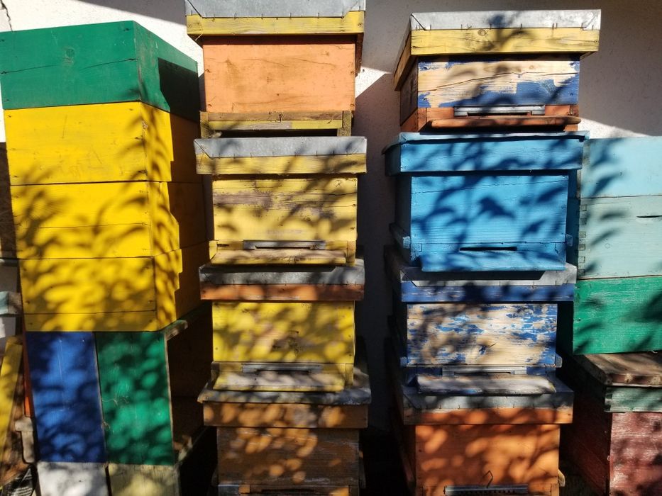 Stupi, albine, multietajati 10 rame