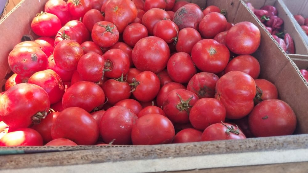 Vand legume, pepeni rosii si galbeni