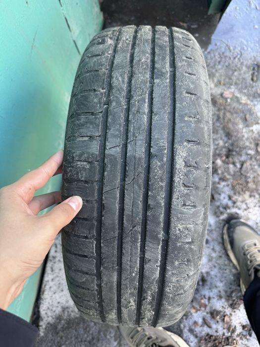 Летние шины Nokian