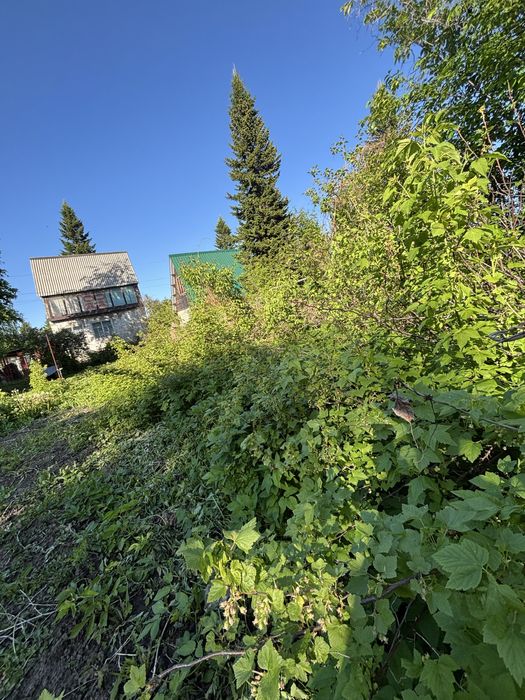 Продам дачу , улица Урожайная 114