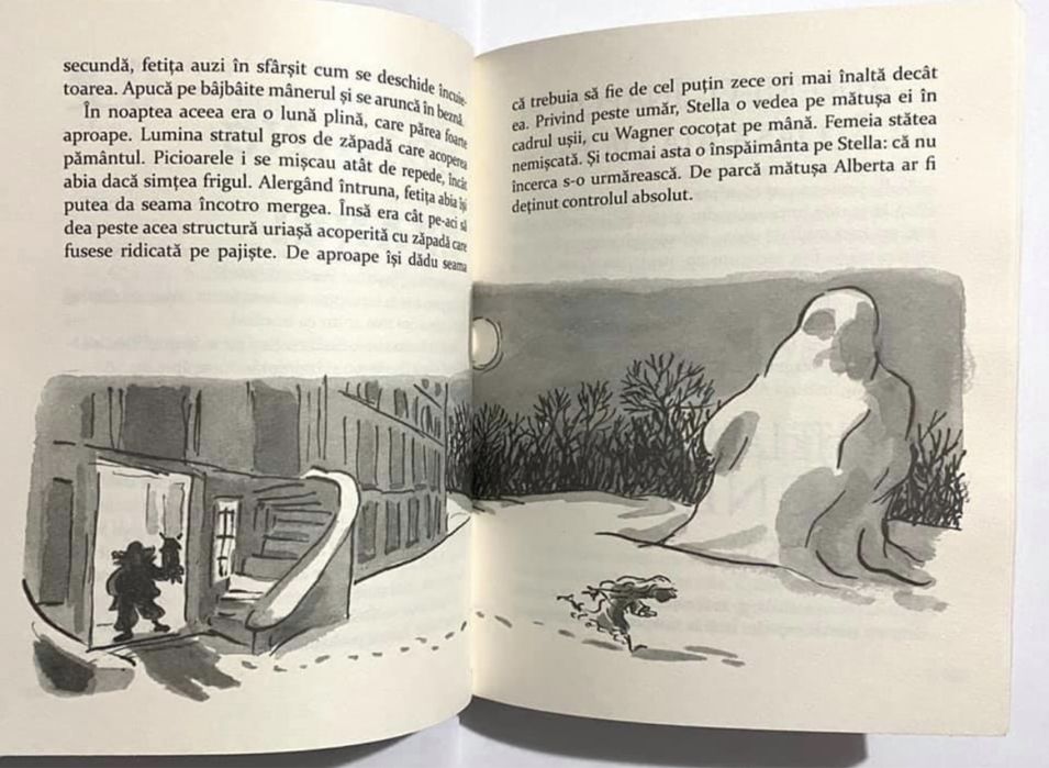 Cartea Matusica ingrozitoare de David Walliams Carti pentru copii