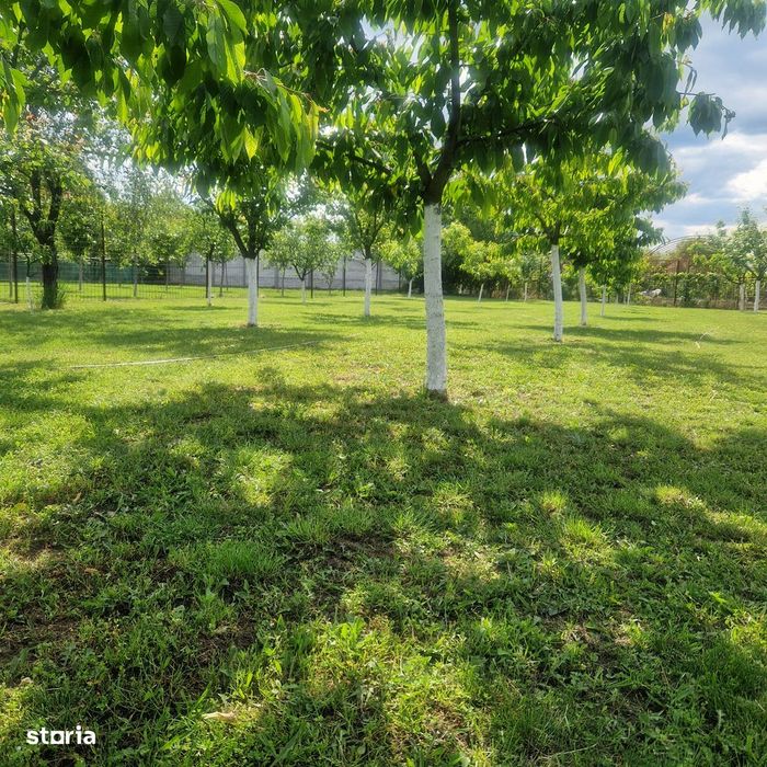 O casă cu suflet, un teren cu poveste