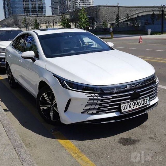 Byd chazor  120 tali ful