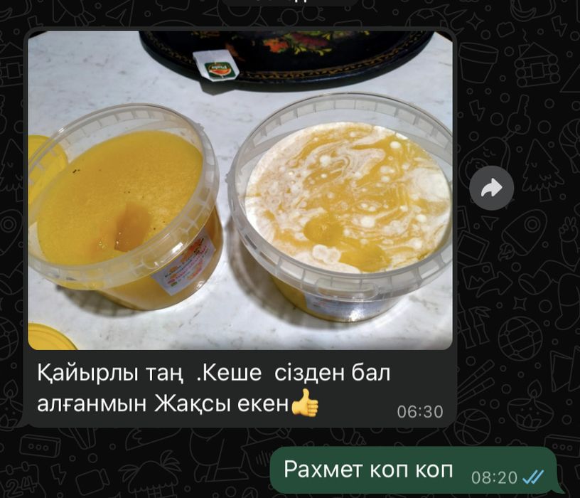 100%  Натуральный Катон-карагайский мед.