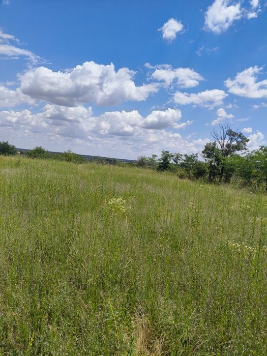 **Vând teren intravilan – 2.500 mp – Roșiori de Vede, Teleorman**