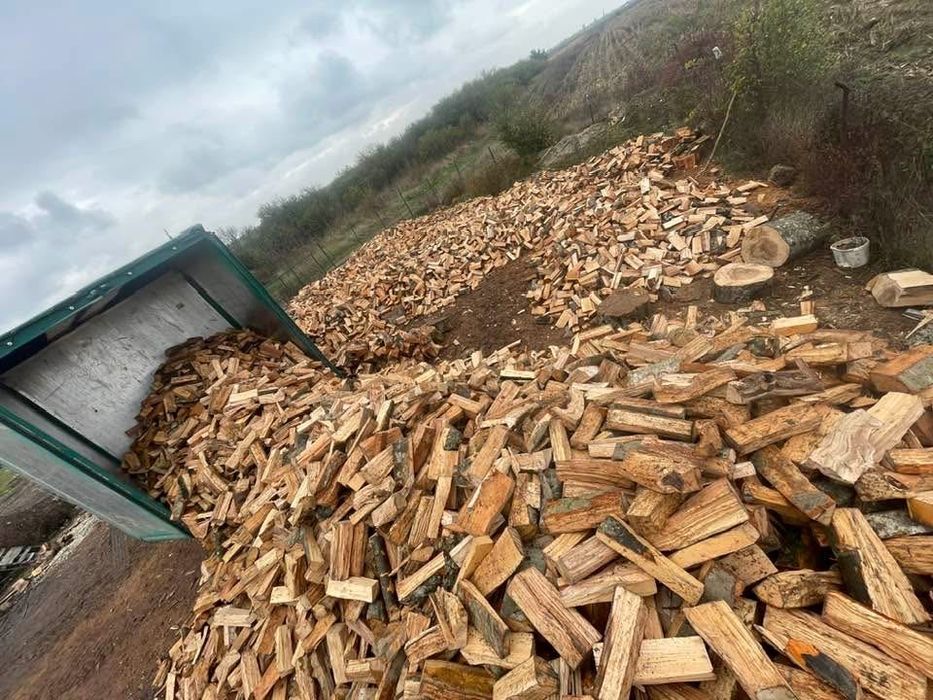 Vand lemne de foc Fag-Spart