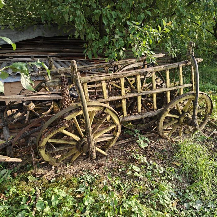 Car vechi in stare degradabila