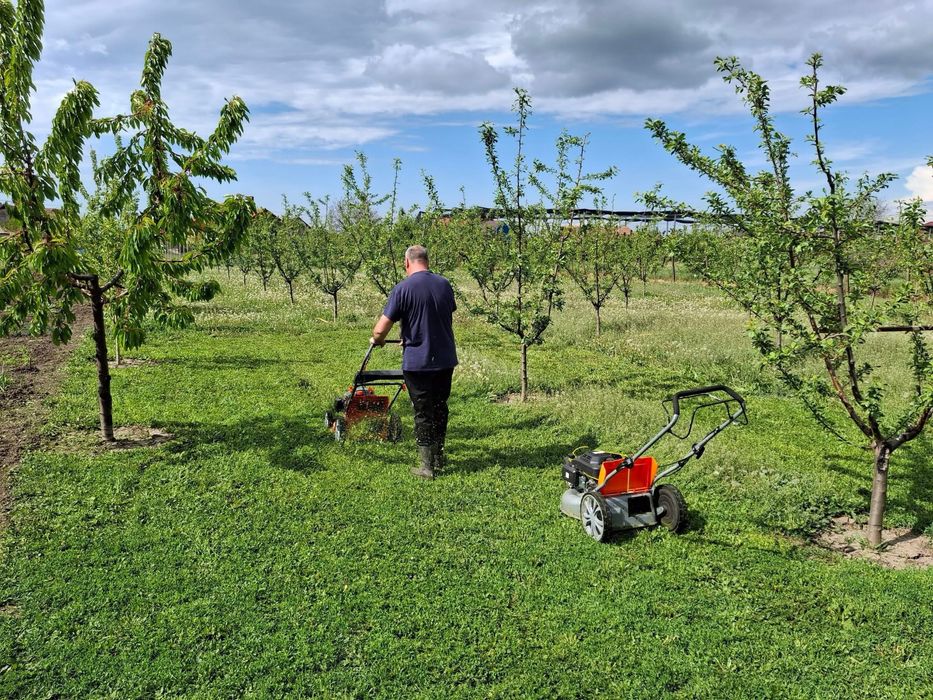 Amenajari si intretinere Spati Verzi