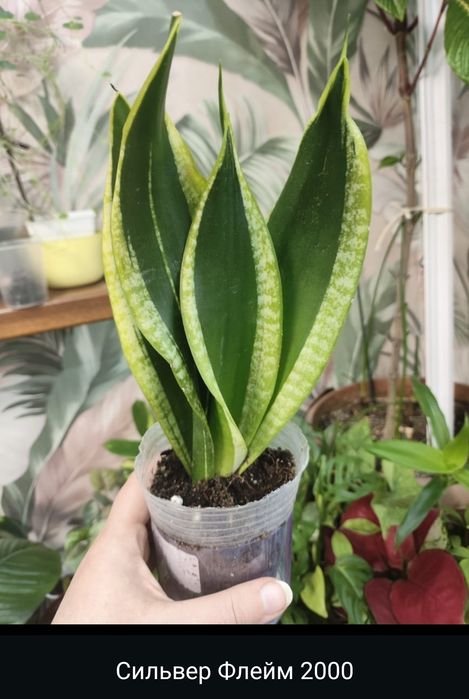 Приглашаю в группу