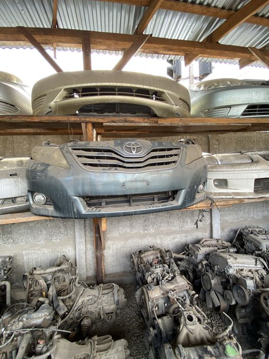 Ноускаты(Мини-морды) Камри 40-45