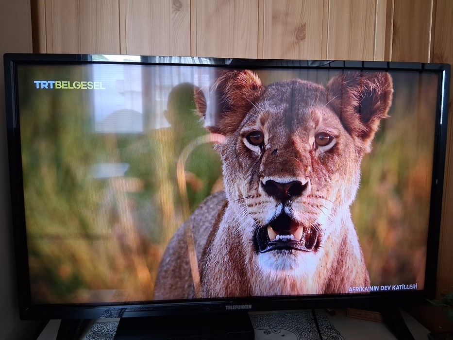 Телевизор Telefunken