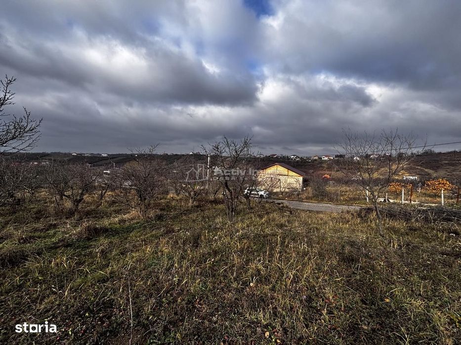 Teren Intravilan Str Livezilor