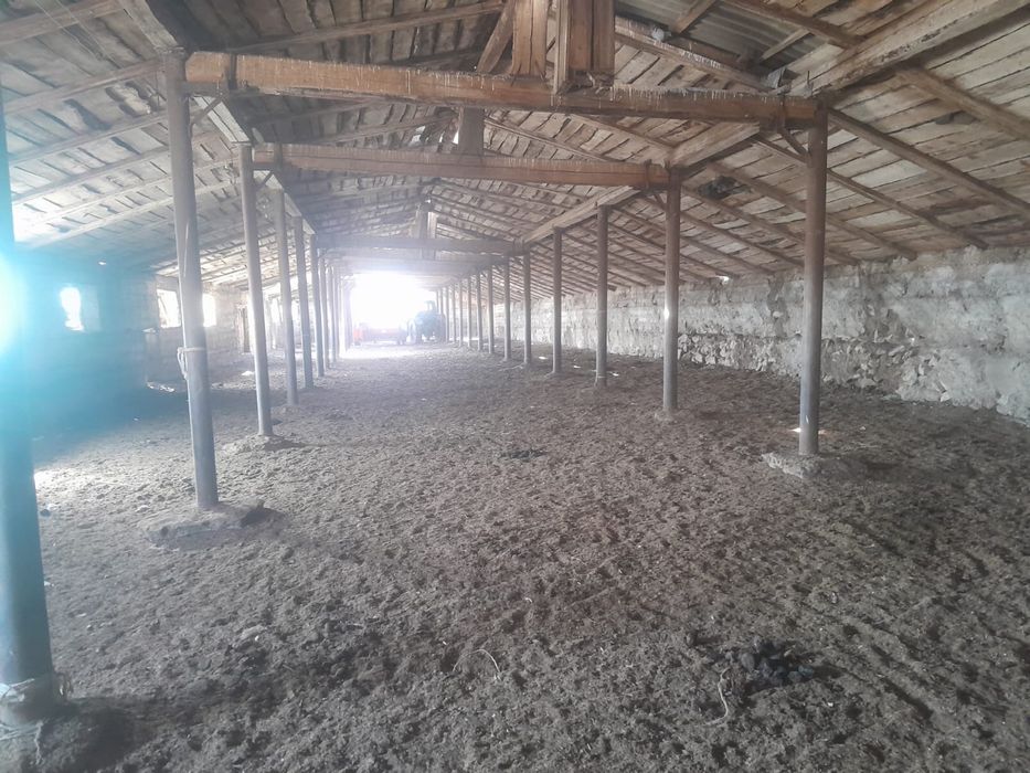 Фазенда сатылады