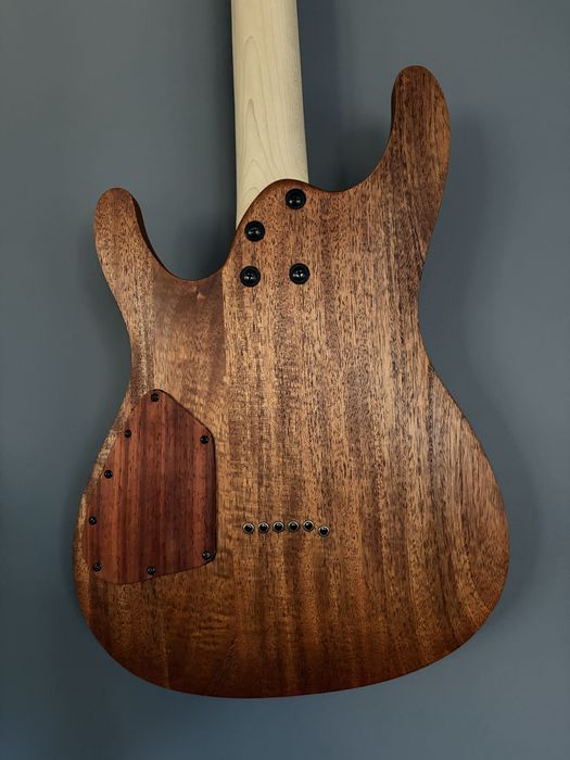 chiatara ibanez s521 mol garantie upgrade