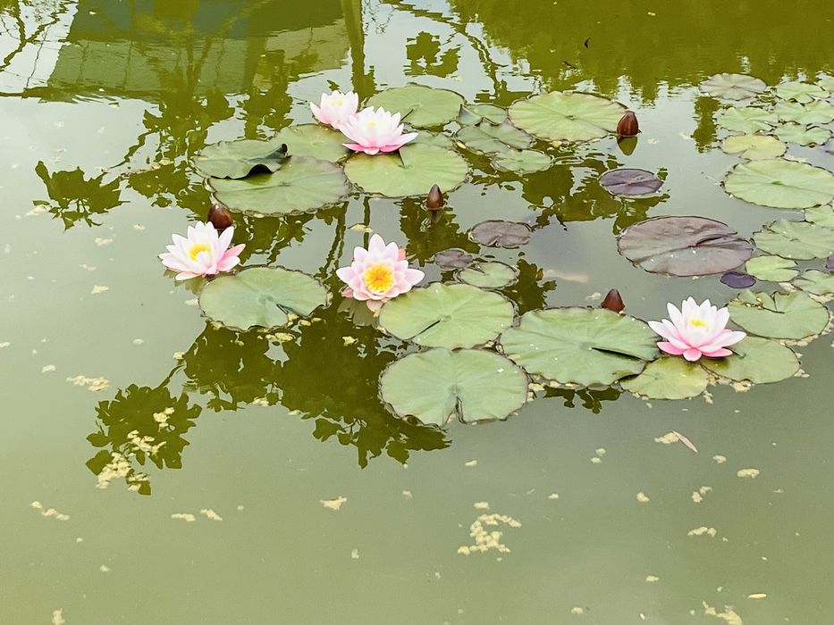 Целогодишен наем 20 мин от Бургас, гледка море с  паркомясто 1100лв