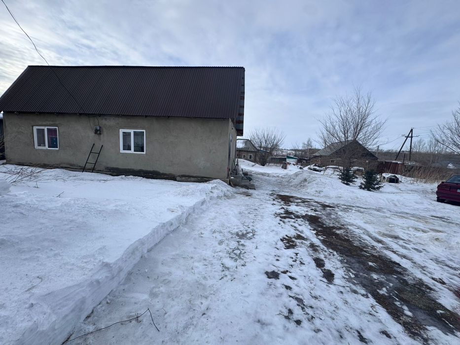 Продам дом в степном