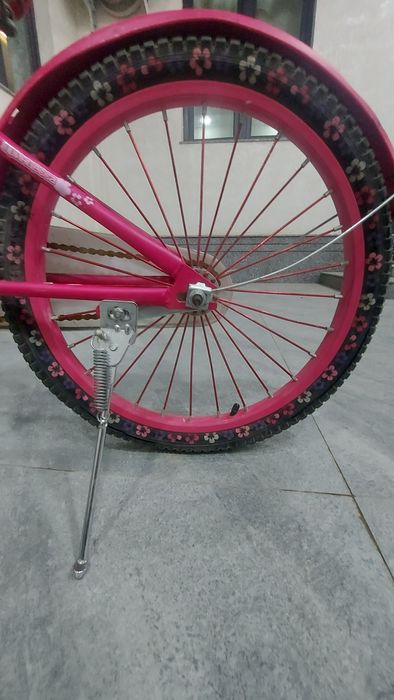 Velosiped rangi pushti