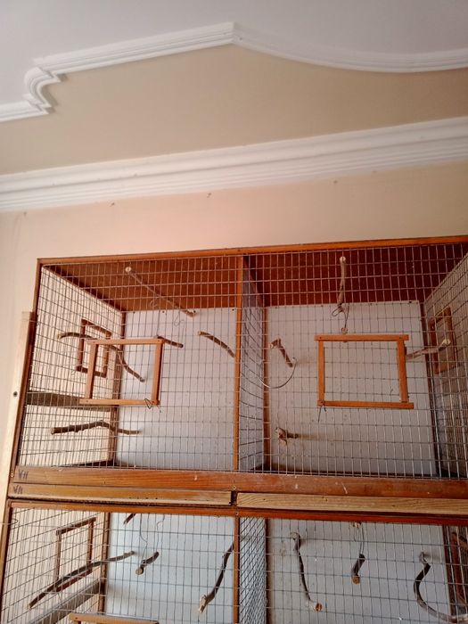 Клетки для птиц амадинов,канареек