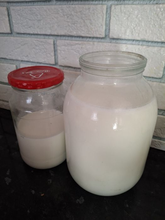 Домашнее козье молоко