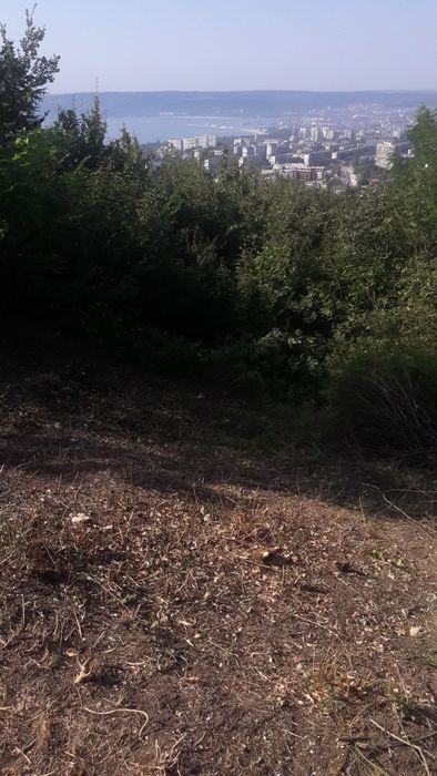 Продава се Парцел в с. Банкя, Област Перник - 1200 кв.м за 75 €/кв.м - Снимка #6