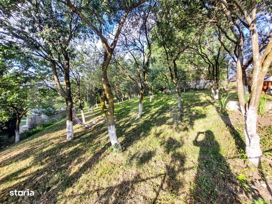 Casa de vanzare, 80 mp, teren 1903 mp, livada, sat Vechea-Chinteni