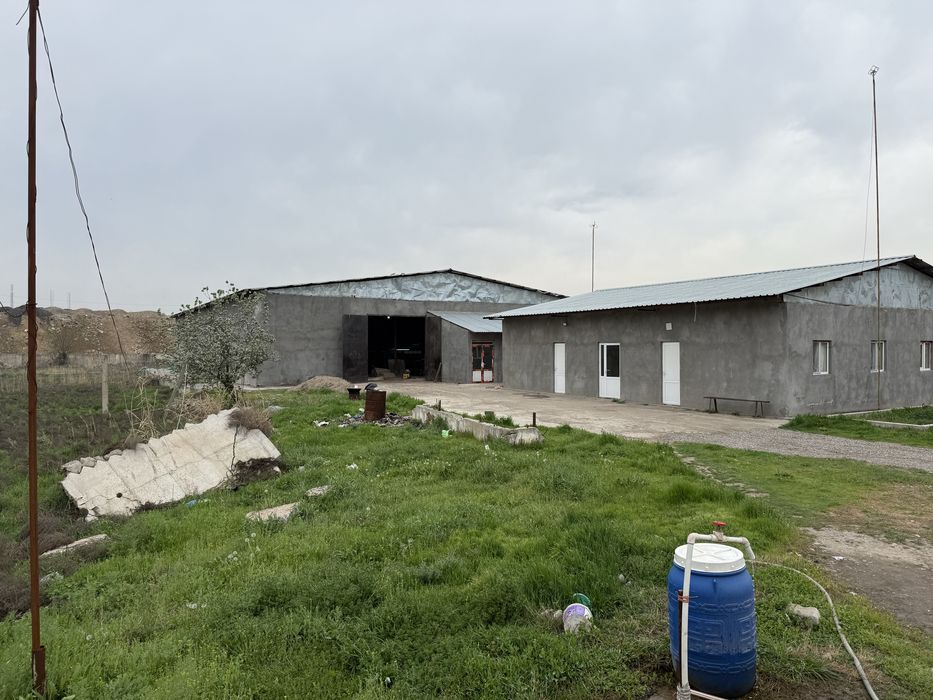 Продаю в г. Янгийуле (Арча куча)территорию 76  соток-От АРК-Булок 13км