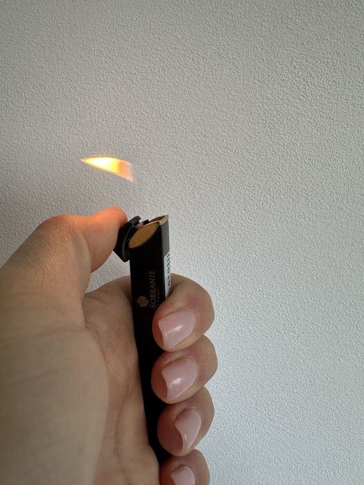 Brichete Sobranie/Davidoff