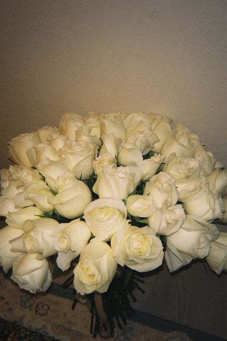 151 роза + 71 роза