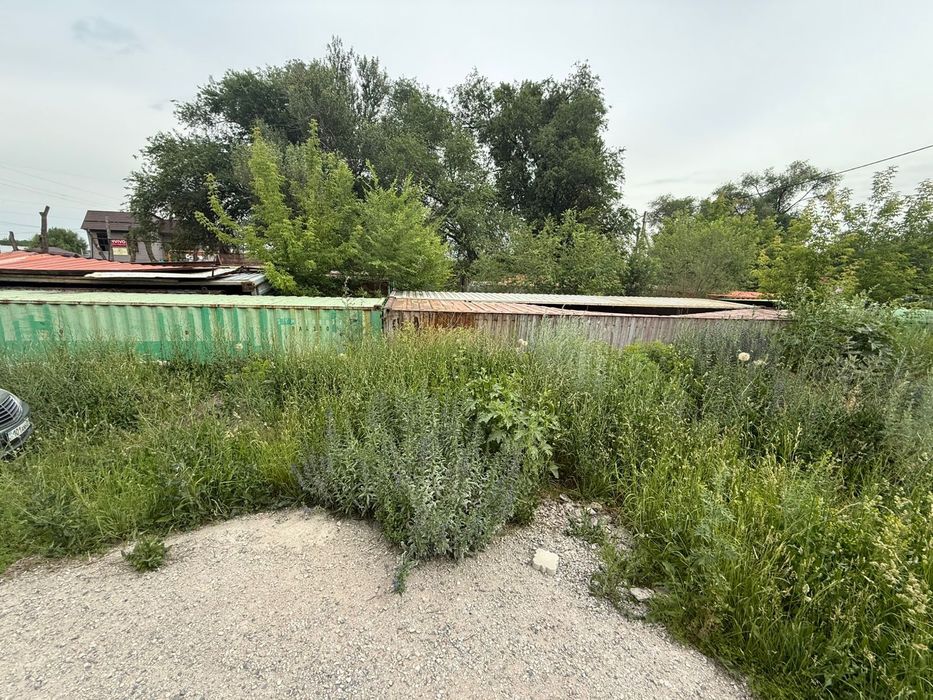 Косим траву Шоп шабамыз