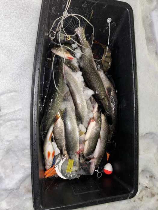 Выезд на рыбалку