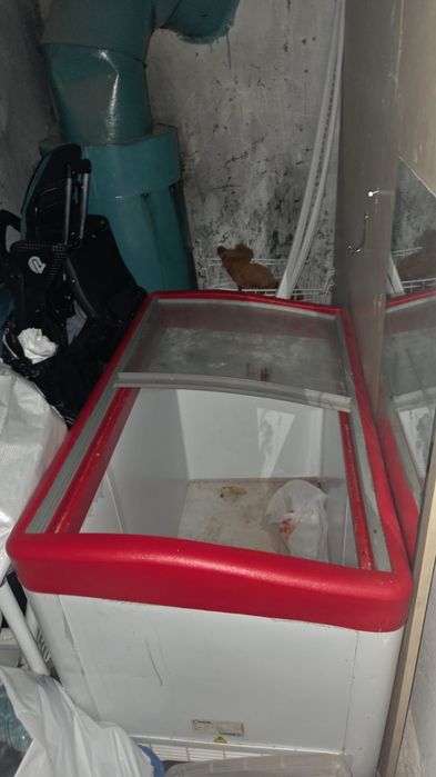 Морозильная камера. Рабочий